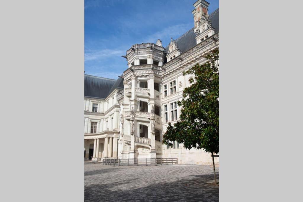 Appartement Quartier Cathedrale Blois Exterior foto